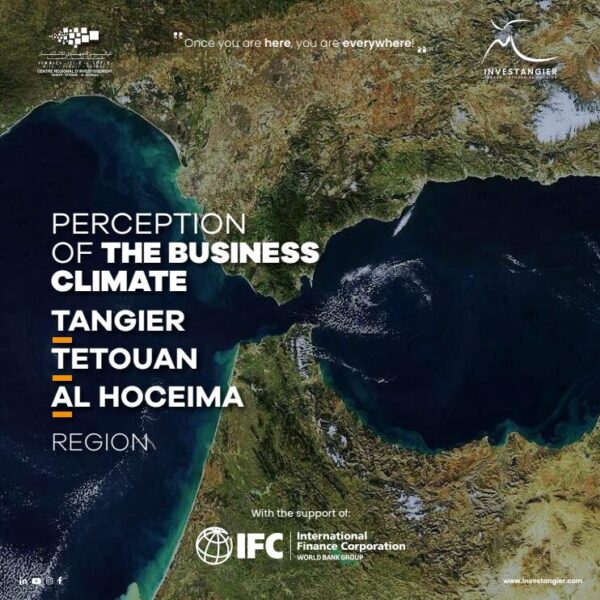 Perception of the business environment in the Tangier-Tétouan region